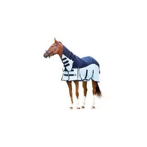 55738-55743-fliegendecke-horseguard-aiman-blau