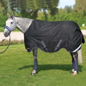 Venčovní deka pro koně Horsenjoy Rain Warrior
