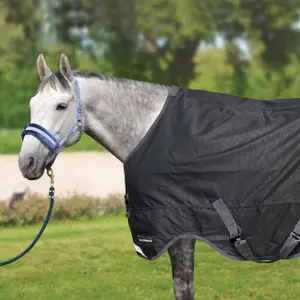 Venčovní deka pro koně Horsenjoy Rain Warrior image-2