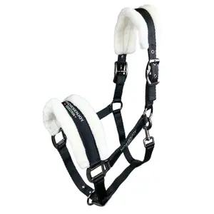 Pferdehalfter aus Nylon Horsenjoy Chantal image-0
