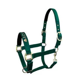 Pferdehalfter aus Nylon Horsenjoy image-0