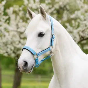 Halter for horse Horsenjoy Soraya image-1