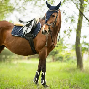 Dressage saddle pad for horses Horsenjoy Mia image-1