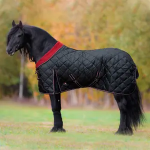 Stable Blanket Horsenjoy Meribel 300 g image-0