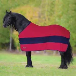 Fleece Blanket for Horse with Straps Horsenjoy Jasmine image-0