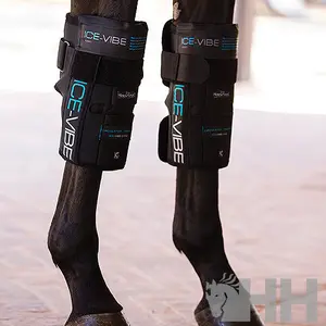 Front closed horse boots Horseware image-0