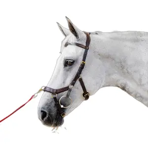 Bridle Without Reins Horseware Micklem 2 Multibridle