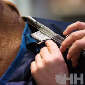 Undercover voor paarden Horseware Bajomanta Liner 300g image-3