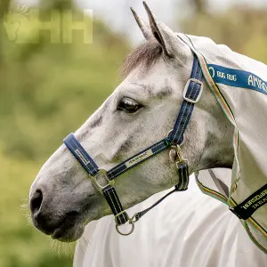 Λάσκα για άλογο από νάιλον Horseware Field Safe image-0