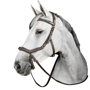 Zaumzeug Reiten Horseware Micklem
