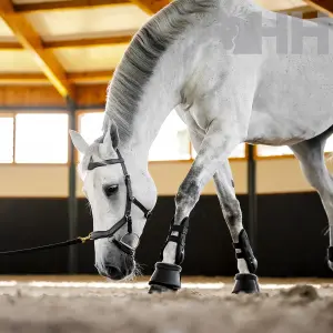 Hoofdstel Horseware Micklem image-3