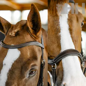 Anatomical Riding Bridle Horseware Micklem image-1