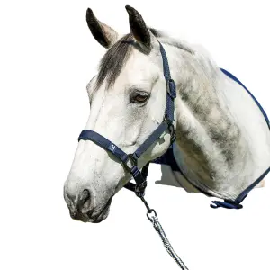 Καπίστρι για άλογο Horseware Newmarket image-0