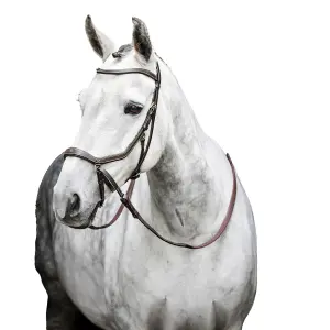 Bitless Riding Bridle Horseware Micklem