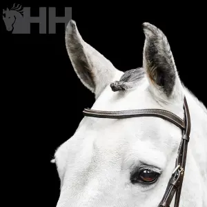 Bride de equitación sin bocado Horseware Micklem image-2