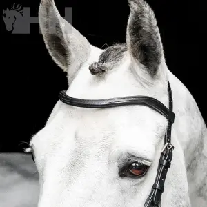Bitless Riding Bridle Horseware Micklem image-2
