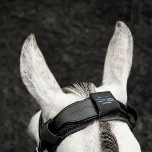 Προστασία για τη σέλα του αλόγου Horseware image-2