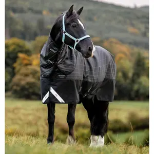 Αδιάβροχη εξωτερική κουβέρτα Amigo 1200D FieldSafe Reflectech 50g Horseware image-0