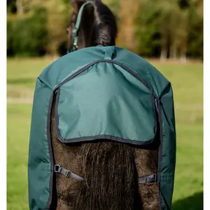 Couverture d'extérieur pour poney Horseware Amigo Ripstop 900D 100g image-3