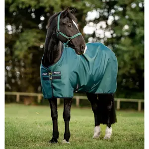 Εξωτερικό μανδύα για πόνυ Horseware Amigo Ripstop 900D 0g image-0
