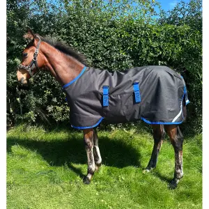 Outdoor Blanket for foals Horseware Amigo Ripstop 900D 200g image-0