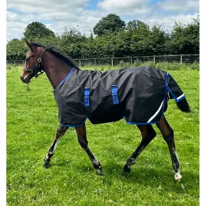 Outdoor Blanket for foals Horseware Amigo Ripstop 900D 50g image-0