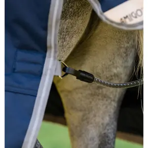 Εξωτερικό μανδύα για πόνυ Horseware Amigo 1200D 0g image-2