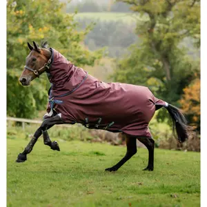 Venčovní deka pro koně Horseware Amigo 1200D Plus 0g image-1