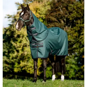 Outdoor pony Blanket with neck cover Horseware Amigo Ripstop 900D Plus 200g image-1