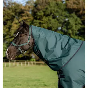 Outdoor pony Blanket with neck cover Horseware Amigo Ripstop 900D Plus 200g image-5