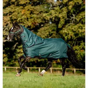 Outdoor pony blanket with waterproof neck cover Horseware Amigo Ripstop 900D Plus 0g image-0
