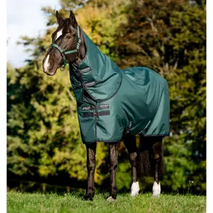 Outdoor pony blanket with waterproof neck cover Horseware Amigo Ripstop 900D Plus 0g image-1