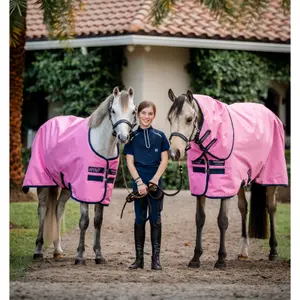 Waterproof outdoor horse blanket Horseware Amigo® 200g image-1
