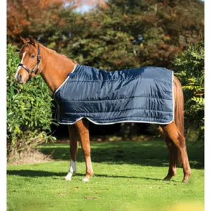 Pony Under Blanket Horseware 300g image-1