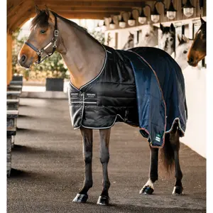 Κάλυμμα σταύλου για πόνυ Horseware Easy-Layer 100g image-2