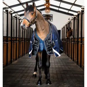 Κάλυμμα σταύλου για πόνυ Horseware Easy-Layer 100g image-3
