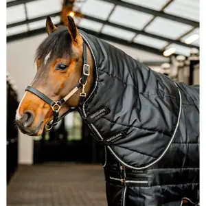 Σαμάρι σταύλου για πόνι Horseware Easy-Layer 100g image-0