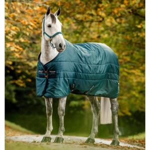 abrdm2-gbi0-66-outdoor-blanket-horseware-ripstop-200g-dynasty-green-navy-silver