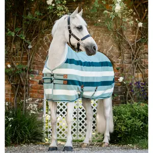 Drying Polar Fleece Blanket for Pony Horseware Newmarket image-1
