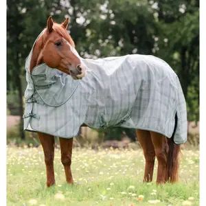 Hästflugmatta Horseware Newmarket Quarter Horse Plus