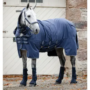 Κλειστές επιγονατίδες για άλογα Horseware Show Ready image-2