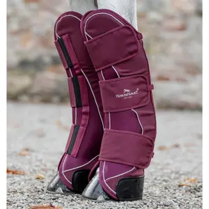 Closed horse boots Horseware Signature image-0