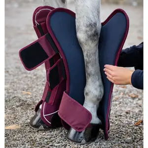 Closed horse boots Horseware Signature image-1