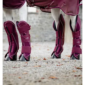 Closed horse boots Horseware Signature image-3