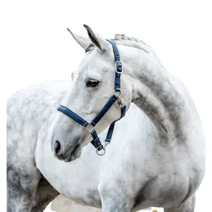Grooming Headcollar for Horse Horseware image-0