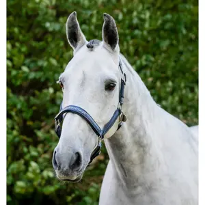 Grooming Headcollar for Horse Horseware image-1
