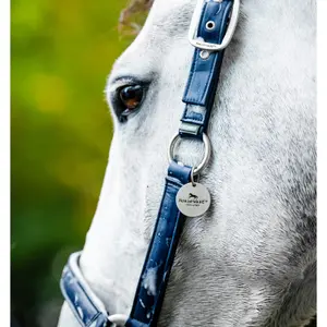 Grooming Headcollar for Horse Horseware image-2