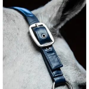 Grooming Headcollar for Horse Horseware image-3
