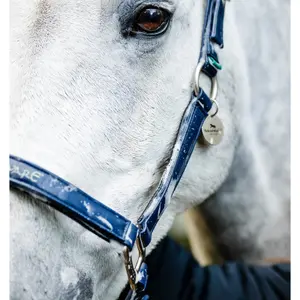 Grooming Headcollar for Horse Horseware image-4
