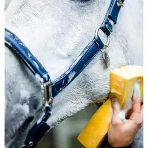 Grooming Headcollar for Horse Horseware image-6